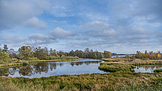 Landschaftsaufnahme des Sandwaters in Simonswolde