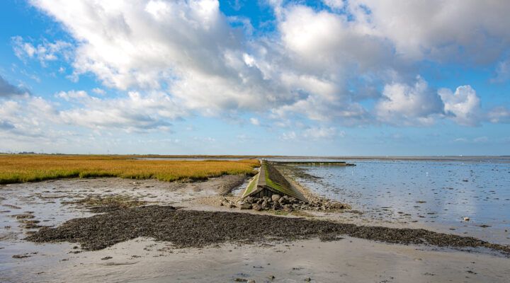 Ein schmaler, mit Steinen befestigter Deich führt geradeaus durch eine weite Küstenlandschaft. Links liegen Salzwiesen mit goldbraunem Gras, rechts erstreckt sich das flache Wattenmeer unter einem blauen Himmel mit verstreuten Wolken.