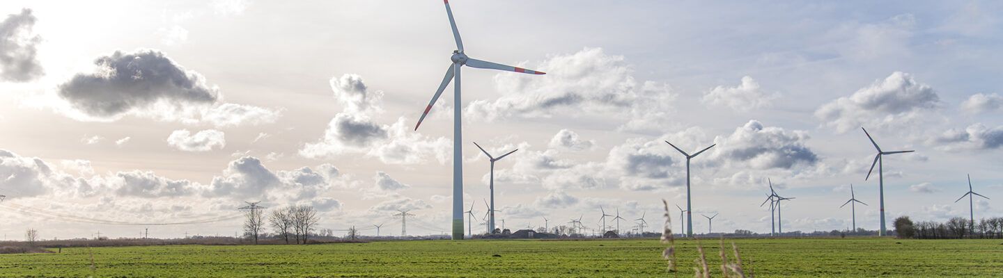 Mehrere Windenergieanlagen stehen auf einer weiten, grünen Wiese unter einem Himmel mit großen, weißen Wolken. Die Windräder verteilen sich bis zum Horizont und prägen die offene Landschaft.