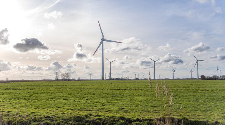 Mehrere Windenergieanlagen stehen auf einer weiten, grünen Wiese unter einem Himmel mit großen, weißen Wolken. Die Windräder verteilen sich bis zum Horizont und prägen die offene Landschaft.