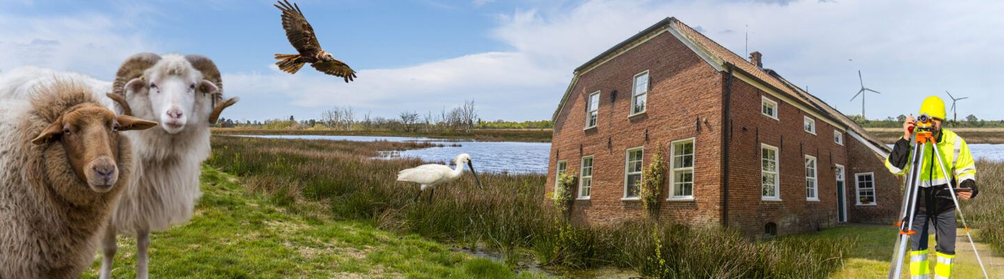 Landschaftsaufnahme in Ostfriesland: Zwei Schafe stehen auf einer Wiese im Vordergrund, darüber fliegt ein Greifvogel. In einem Feuchtgebiet ist ein großer weißer Vogel zu sehen. Daneben steht ein rotes Backsteinhaus am Wasser, im Hintergrund drehen sich Windräder. Rechts im Bild führt ein Vermessungsingenieur in Schutzkleidung mit einem Messgerät Arbeiten im Gelände durch.