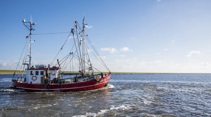 Greetsieler Fischkutter fährt auf dem ruhigen Wattenmeer