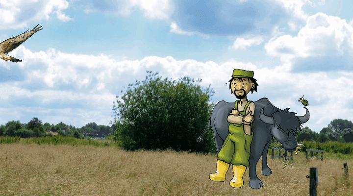Weite Wiesenlandschaft unter blauem Himmel mit Wolken. Rechts steht ein hölzerner Aussichtsturm. In die Fotolandschaft sind gezeichnete Figuren eingefügt: ein Landwirt in grüner Kleidung und Gummistiefeln neben einem Wasserbüffel, links eine Eule im Vordergrund, darüber ein Greifvogel im Flug und rechts unten ein Kiebitz auf der Wiese.
