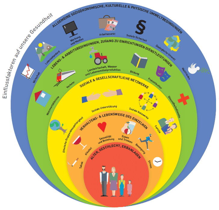 Kreisförmige Infografik zu Einflussfaktoren auf die Gesundheit. In mehreren farbigen Ringen werden Ebenen dargestellt: im Zentrum Alter, Geschlecht und Erbanlagen; darum Verhaltens- und Lebensweisen des Einzelnen (z. B. Ernährung, Bewegung, Alkohol, Stress); далее soziale und gesellschaftliche Netzwerke; далее Lebens- und Arbeitsbedingungen sowie Zugang zu Dienstleistungen; außen allgemeine sozioökonomische, kulturelle und physische Umweltbedingungen. Die Bereiche sind mit Symbolen illustriert.