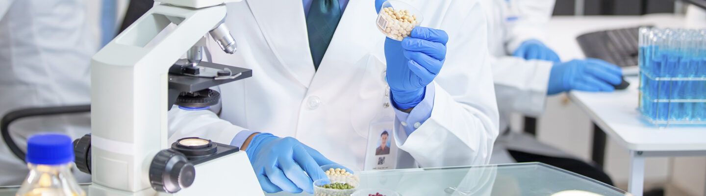 Eine Person im Laborkittel und mit blauen Einweghandschuhen arbeitet an einem Mikroskop und hält eine kleine Petrischale mit runden, hellen Proben in der Hand. Auf dem Labortisch stehen weitere Gefäße und Reagenzgläser mit blauer Flüssigkeit.