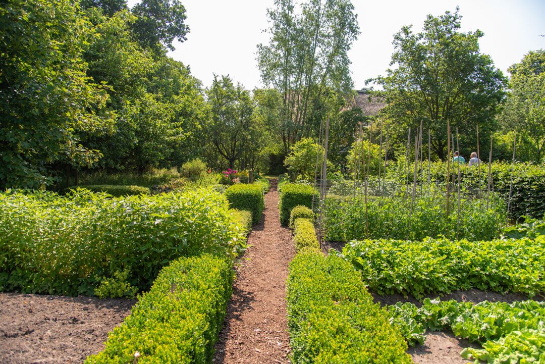 Schmaler Gartenweg zwischen ordentlich geschnittenen Hecken und Gemüsebeeten, umgeben von dichtem Grün und hohen Bäumen an einem sonnigen Tag.