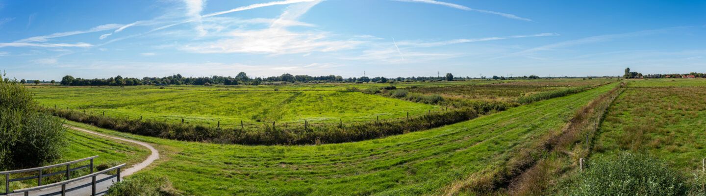 Das Bild zeigt eine weite, flache Landschaft mit saftig grünen Wiesen und Feldern unter einem blauen Himmel mit einzelnen Wolken und Kondensstreifen. Im Vordergrund verläuft ein geschwungener Weg entlang eines kleinen Deichs oder Damms. Rechts und links sind Grasflächen, durchzogen von schmalen Wassergräben oder Entwässerungskanälen – typisch für Marsch- oder Küstenregionen. In der Ferne erkennt man vereinzelte Bäume, Hecken und kleine Gebäude am Horizont. Die Szenerie wirkt ruhig, offen und weitläufig – charakteristisch für norddeutsche Landschaften.
