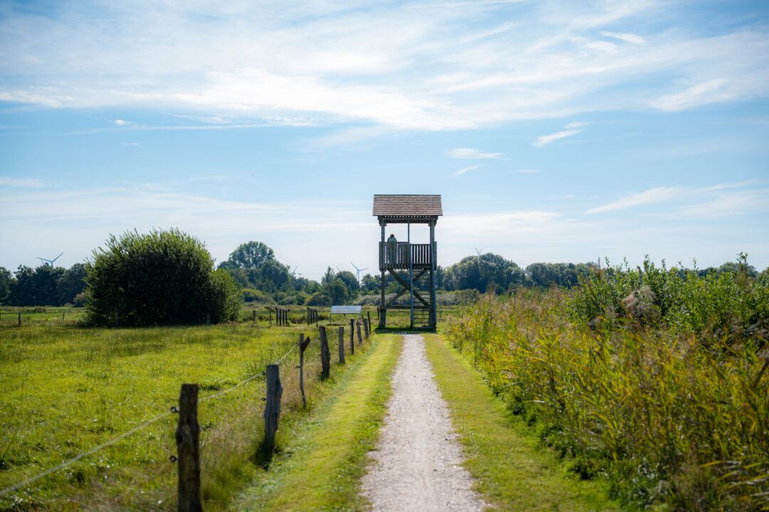 Aussichtsturm in einer weiten Wiesenlandschaft