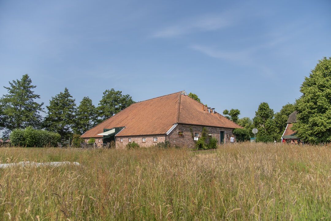 Backsteinbauernhaus mit großem, orangefarbenem Ziegeldach steht inmitten einer hohen, wild gewachsenen Wiese; im Hintergrund sind Bäume und ein klarer blauer Himmel zu sehen.