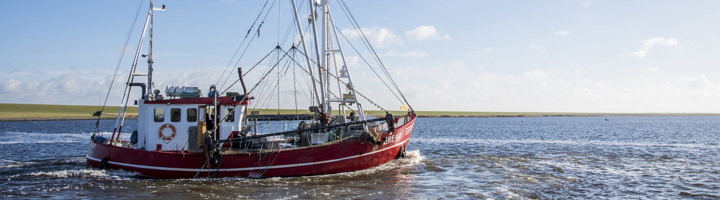 Ein rotes Fischerboot mit Fangnetzen fährt über ruhiges Wasser. Im Hintergrund ist eine flache Küstenlandschaft unter blauem Himmel zu sehen.