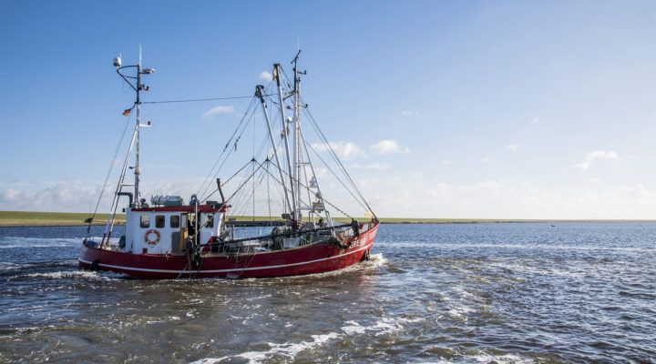 Ein rotes Fischerboot mit Fangnetzen fährt über ruhiges Wasser. Im Hintergrund ist eine flache Küstenlandschaft unter blauem Himmel zu sehen.