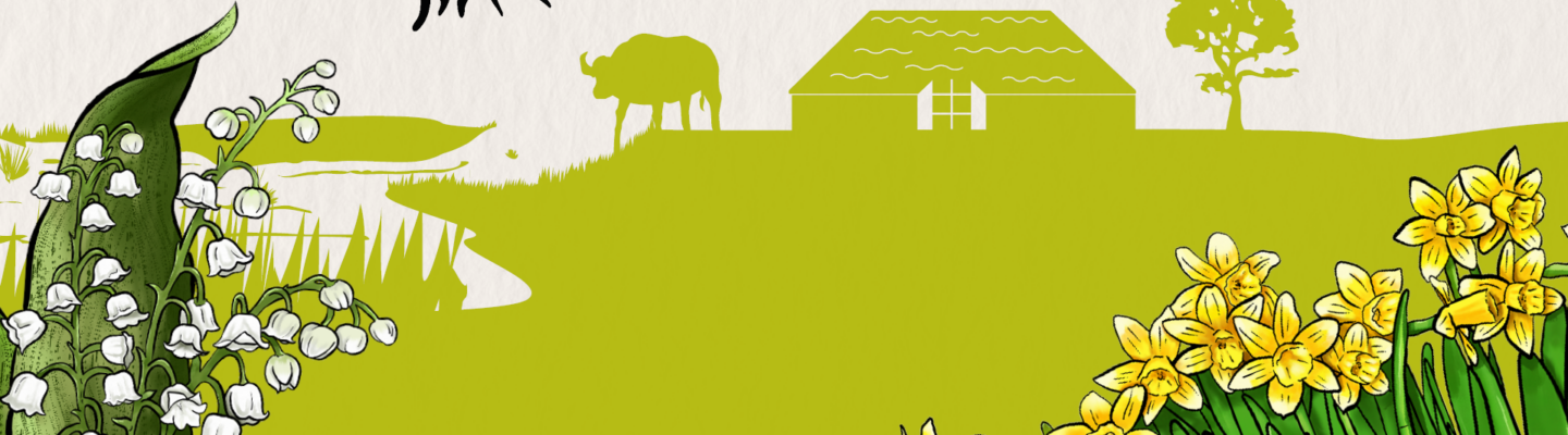 Illustration einer Frühlingslandschaft mit Blumen (Maiglöckchen und Narzissen), einer Biene in der Luft, einem Marienkäfer und einer stilisierten Wiese mit Haus und Tieren im Hintergrund.