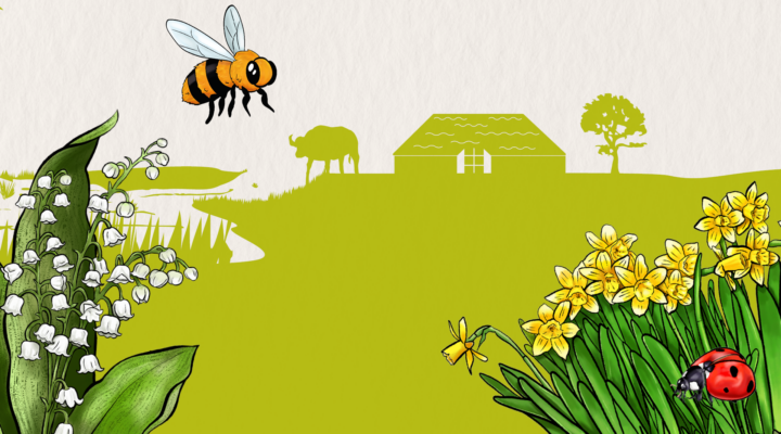 Illustration einer Frühlingslandschaft mit Blumen (Maiglöckchen und Narzissen), einer Biene in der Luft, einem Marienkäfer und einer stilisierten Wiese mit Haus und Tieren im Hintergrund.