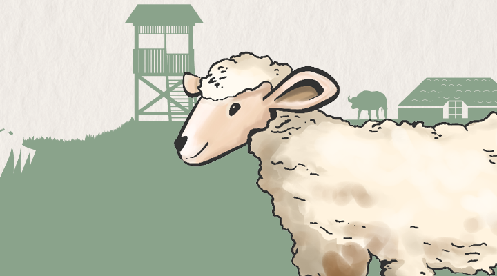 Illustration einer typischen Marschlandschaft mit einem Schaf im Vordergrund. Im Hintergrund sind stilisierte Elemente wie ein Beobachtungsturm, ein Bauernhaus, Weidenbäume, ein Gewässer und verschiedene Tiere dargestellt. Links unten blickt eine Eule aus dem Bildrand, während die Szene in gedeckten Grün- und Naturtönen gehalten ist.
