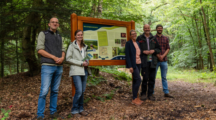 Fünf Personen stehen auf einem Waldweg neben einer großen Informationstafel mit der Überschrift „Waldgeschichte“. Sie lächeln in die Kamera und halten teilweise Informationsflyer in den Händen. Die Tafel ist in einen hölzernen Rahmen eingefasst und vermittelt Wissenswertes zur Entwicklung des Waldes. Umgeben von dichtem Mischwald mit hohen Bäumen und grünem Blätterdach vermittelt die Szene den Eindruck einer gemeinsamen Vorstellung oder Eröffnung eines Naturinformationsangebots.