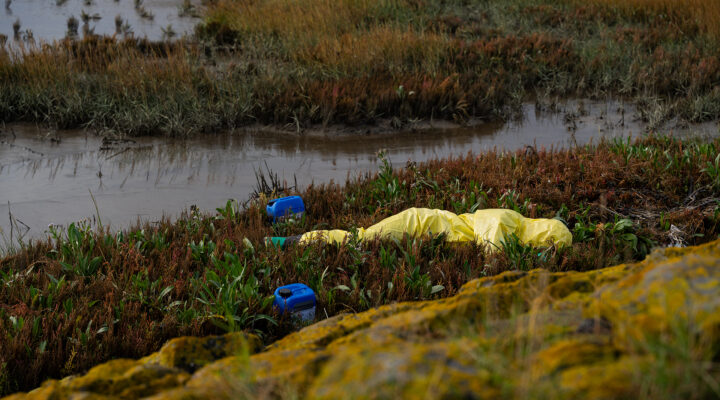 Zwei blaue Kanister und eine Person in einem gelben Schutzanzug liegen zwischen dichter Salzwiesenvegetation am Rand des Wattenmeers. Im Hintergrund sind flache Wasserläufe und bewachsene Wattflächen zu sehen
